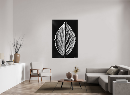 40 x 60″, Matte Canvas Eclipse