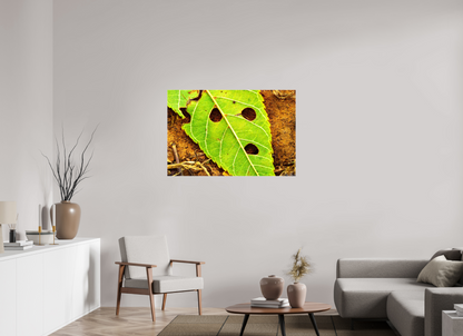 45 x 30″, Glossy Canvas Flabbergasted