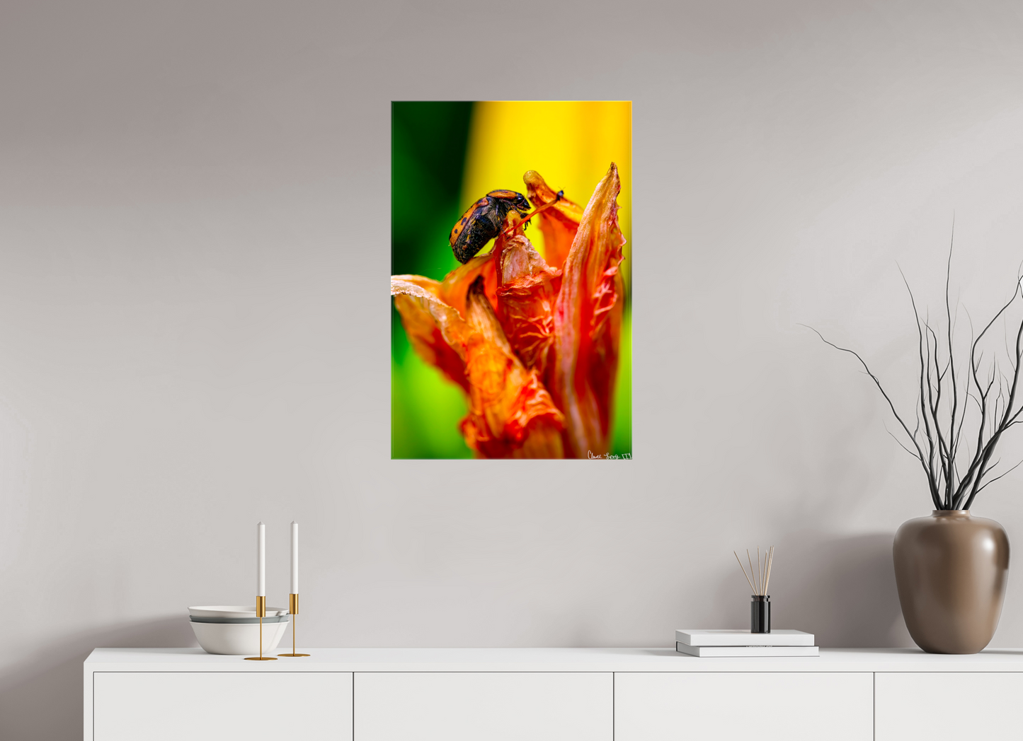 20 x 30″, Glossy Canvas Perched Grave
