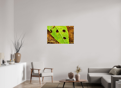 36 x 24″, Glossy Metal Flabbergasted