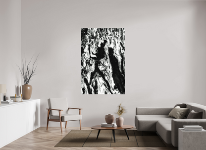 44 x 66″, Forex Frolicking Shadows