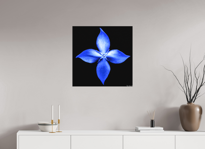 25 x 25″, Matte Canvas Halcyon Compass