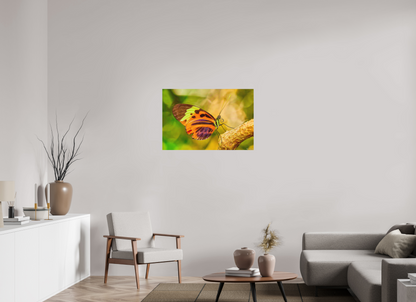 36 x 24″, Forex Flamboyance