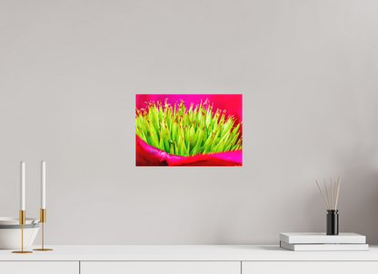 12 x 8″, Matte Canvas Spiked