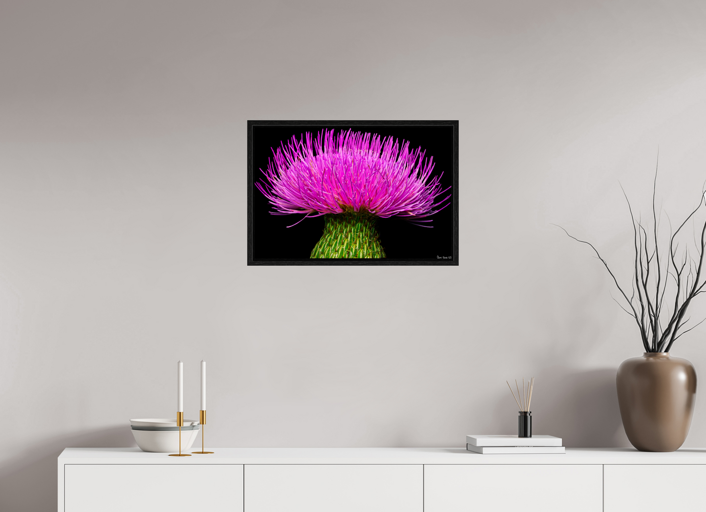 24 x 16″, Floater Frame Black Oak Silybum