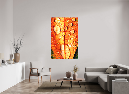 44 x 66″, Matte Canvas Transparency