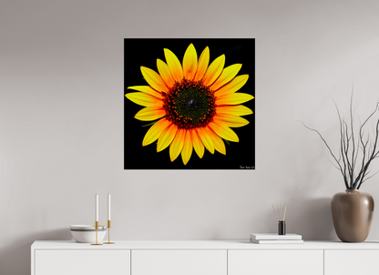 30 x 30″, Glossy Metal Nana’s Sunflower