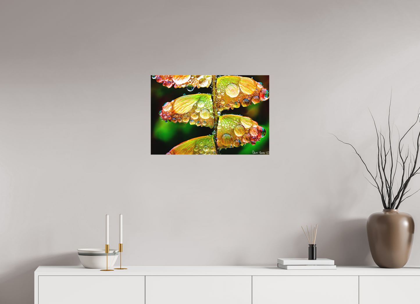 24 x 16″, Matte Canvas Monarch’s Abundance