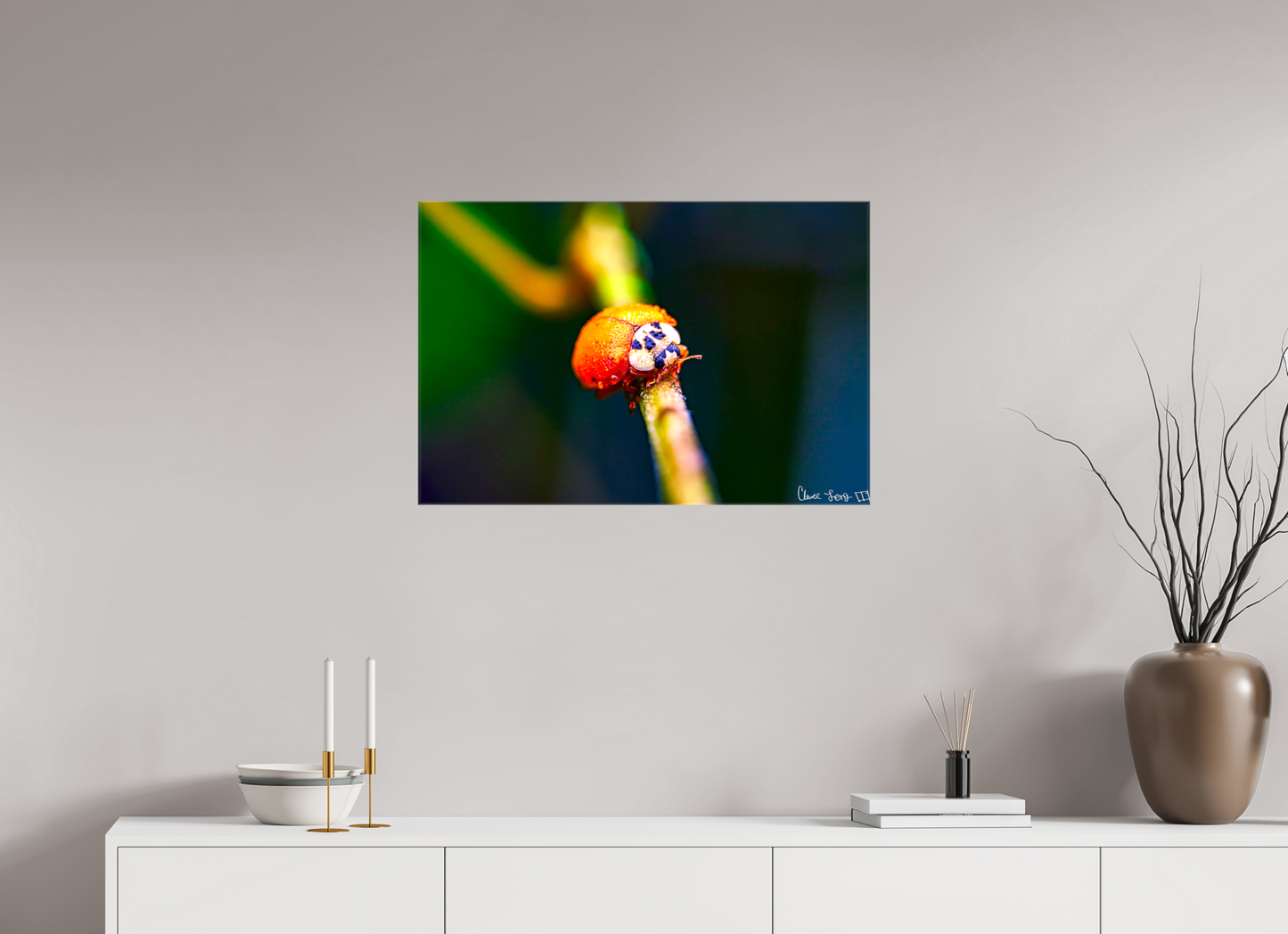 30 x 20″, Glossy Canvas Dew-Kissed Ladybug