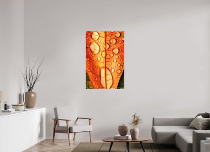 30 x 45″, Matte Metal Transparency