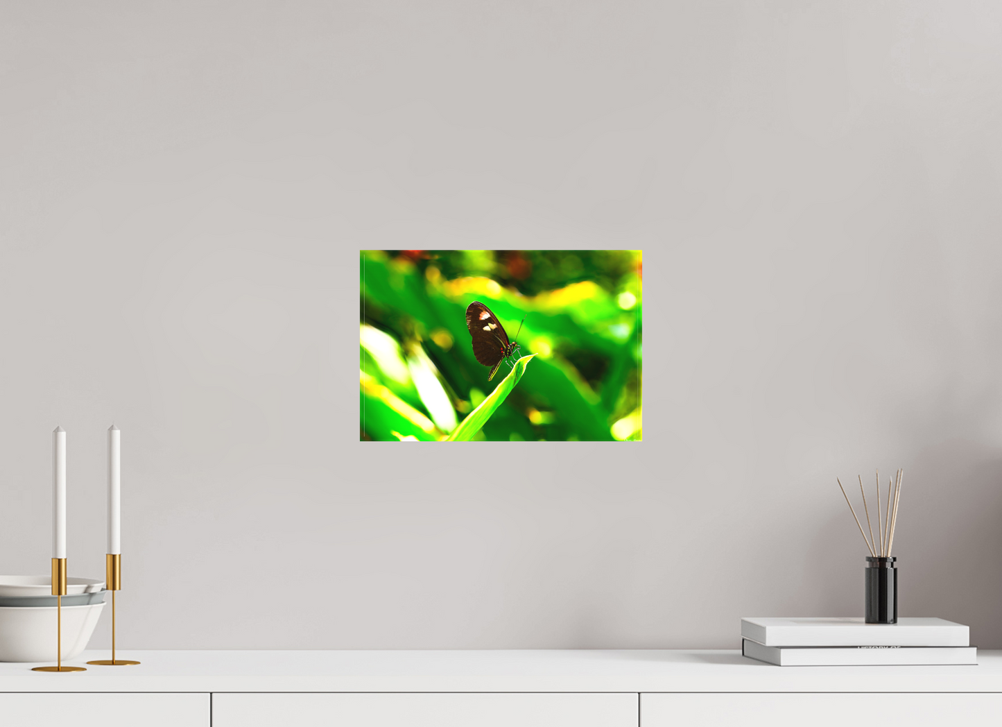 12 x 8″, Matte Canvas Time Stands Still