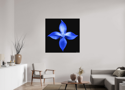 45 x 45″, Matte Metal Halcyon Compass