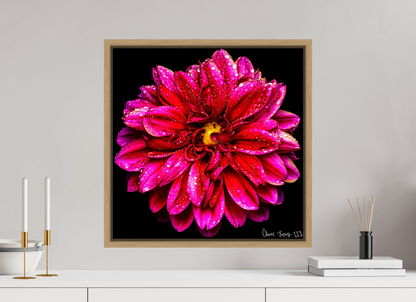 20 x 20″, Floater Frame Natural Oak Droplets Galore