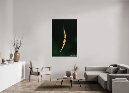 40 x 60″, Matte Metal Nature’s Tether