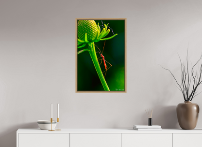 20 x 30″, Floater Frame Natural Oak Reaching the Apex