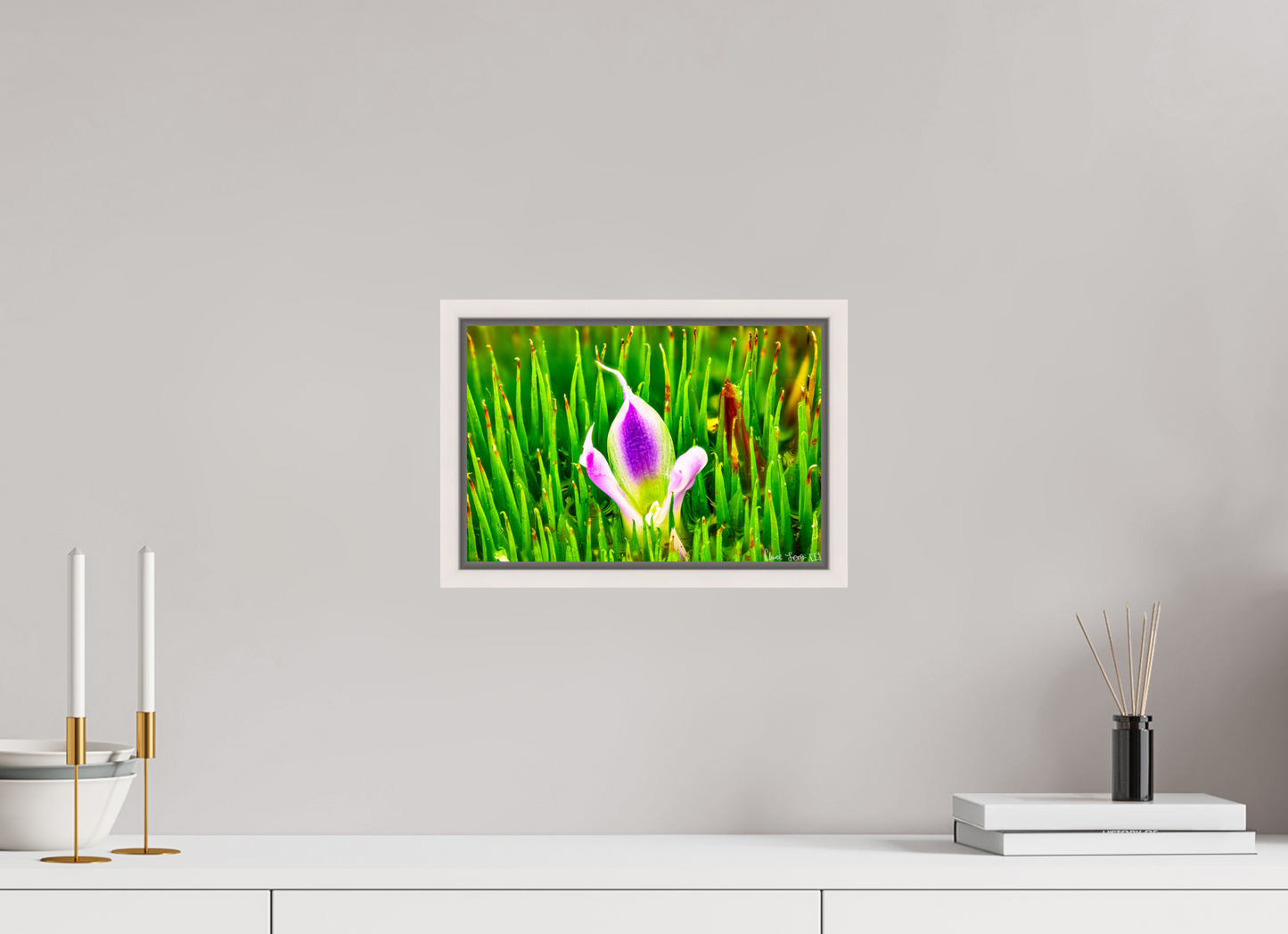 12 x 8″, Floater Frame Maple White Maverick