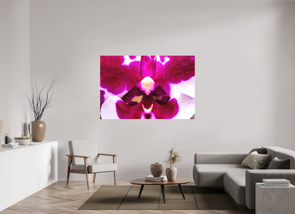 66 x 44″, Matte Canvas Droid Orchid