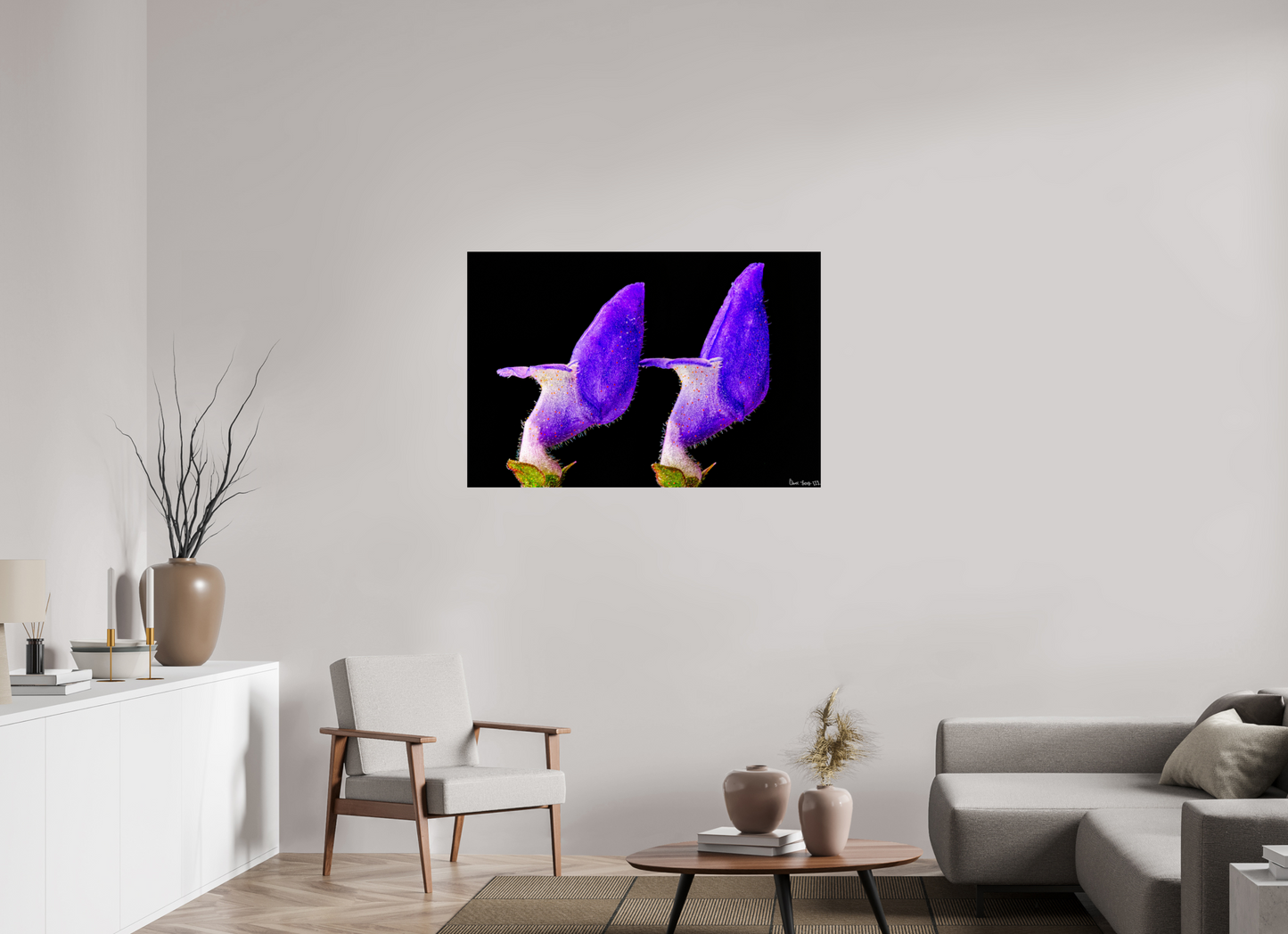 45 x 30″, Glossy Metal Coleus Barbatus
