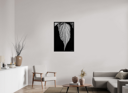 24 x 36″, Floater Frame Black Oak Reticulate Venation