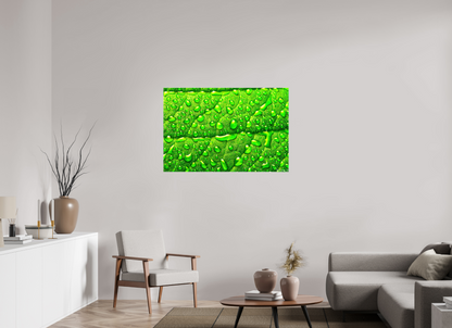 45 x 30″, Glossy Canvas Smile