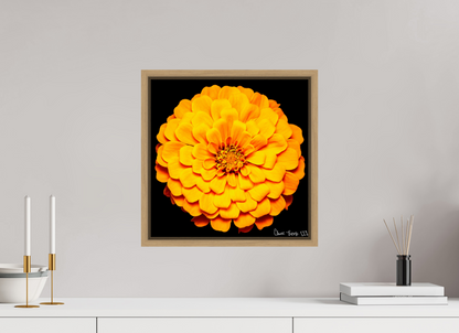 15 x 15″, Floater Frame Natural Oak Midnight Sun