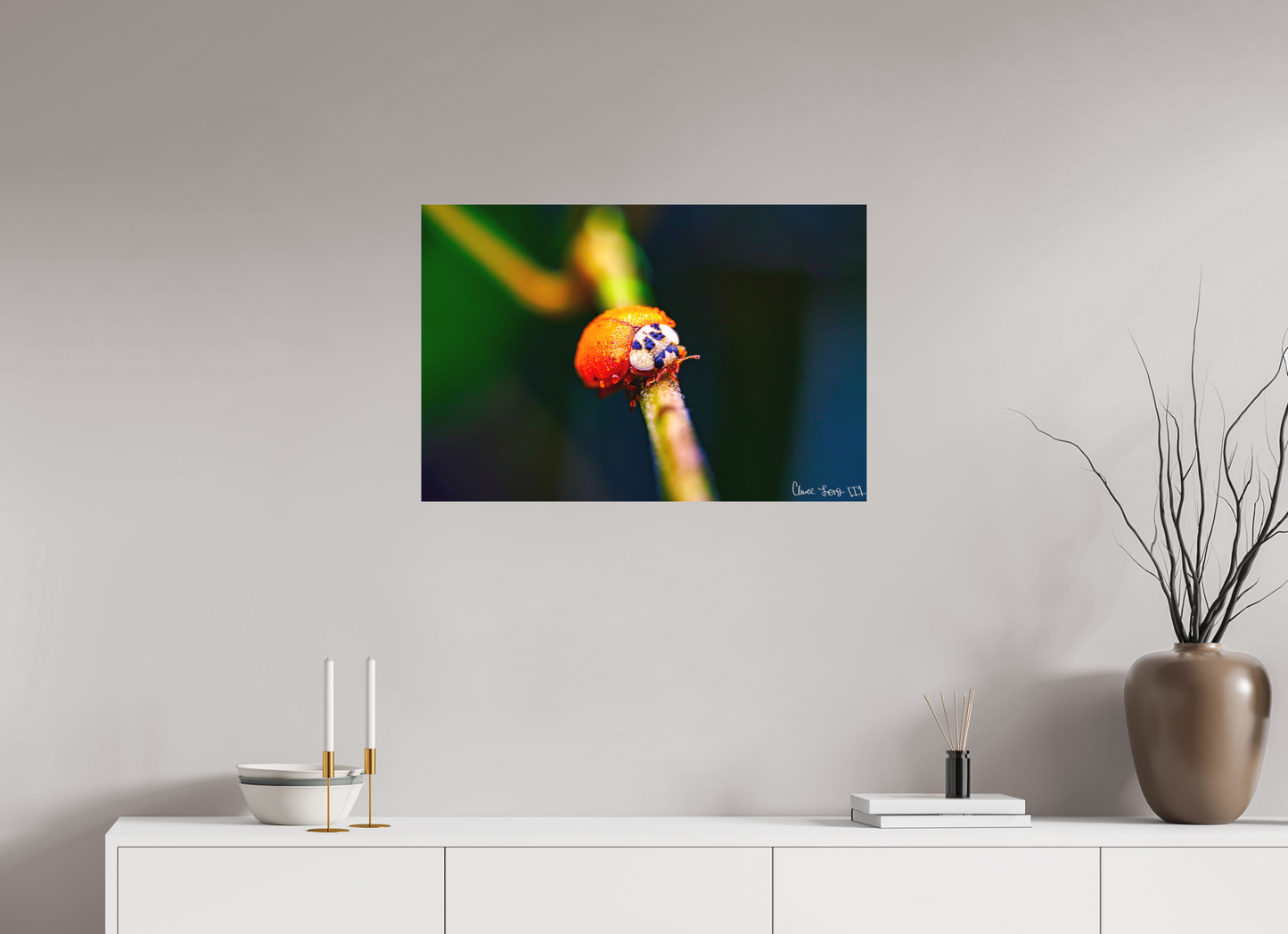 30 x 20″, Forex Dew-Kissed Ladybug