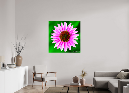 40 x 40″, Glossy Canvas Icosidigon