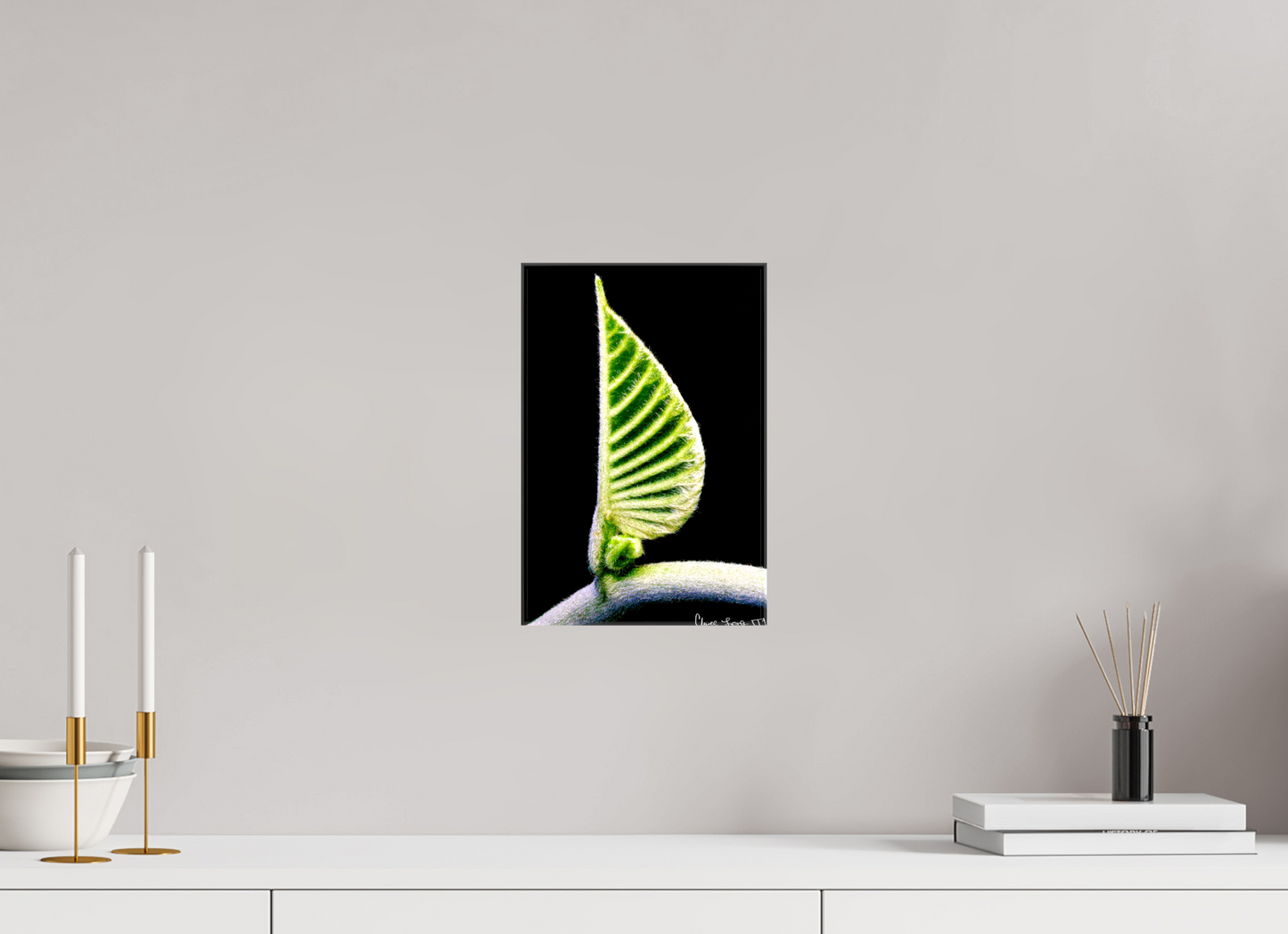 8 x 12″, Glossy Canvas Ocean Odyssey