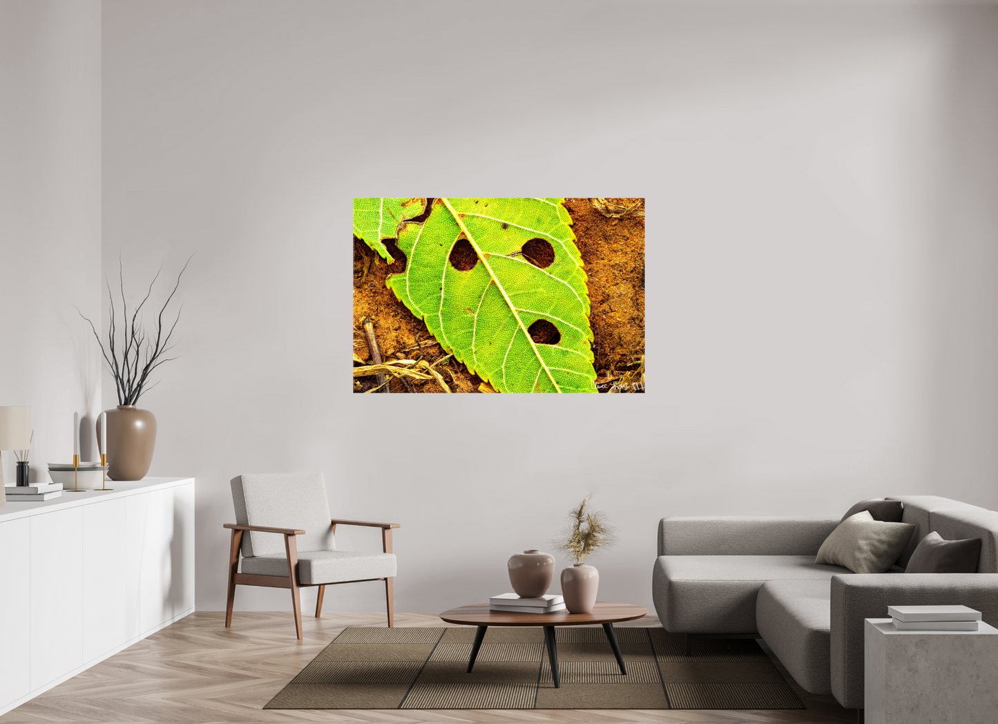 60 x 40″, Glossy Canvas Flabbergasted