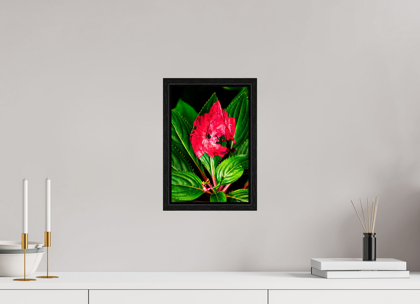 8 x 12″, Floater Frame Black Oak Subsume