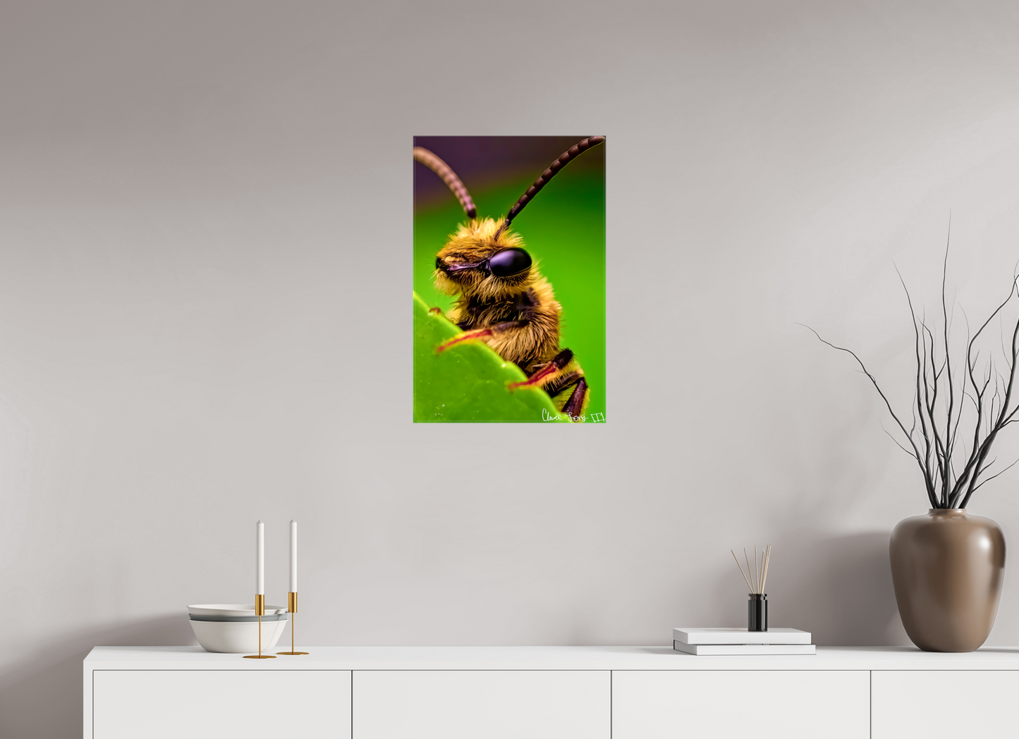 16 x 24″, Glossy Canvas The Cutest Bee