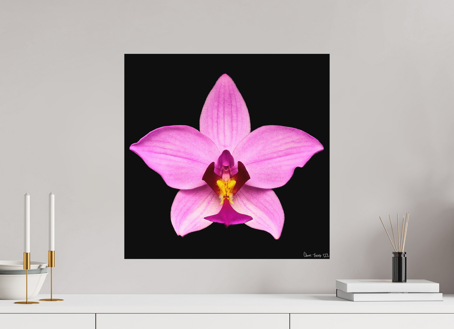 20 x 20″, Forex Bubblegum Star