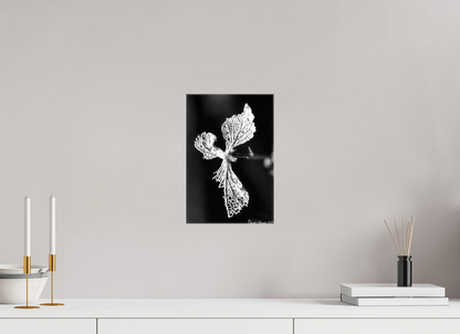 8 x 12″, Glossy Canvas Dragon’s Ascent