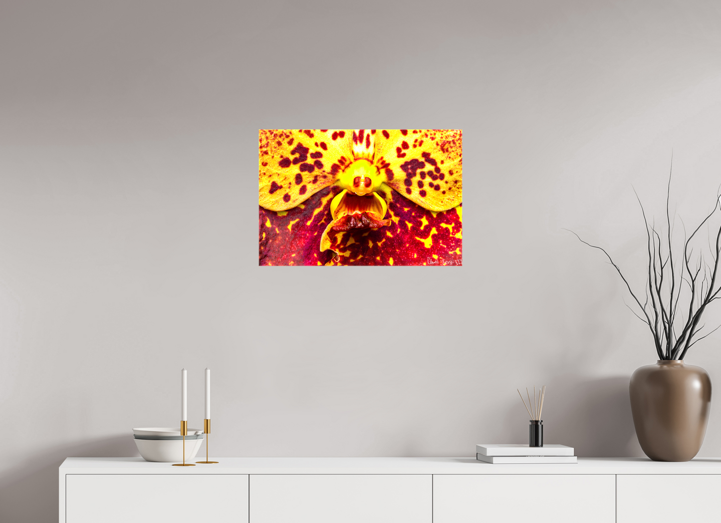 24 x 16″, Glossy Canvas The Flying Thing