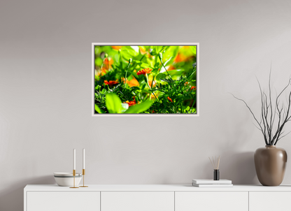 30 x 20″, Floater Frame Maple White Prominence