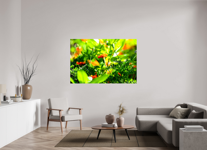 66 x 44″, Glossy Canvas Prominence