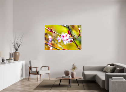 60 x 40″, Glossy Canvas Cherry Blossom