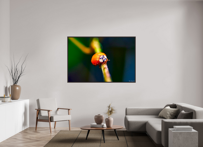 66 x 44″, Floater Frame Alder Brown Dew-Kissed Ladybug