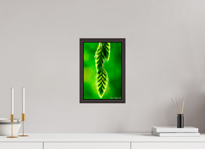 8 x 12″, Floater Frame Alder Brown Harmonic Trinity