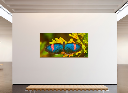 94 x 47″, Floater Frame Natural Oak Racing Stripes