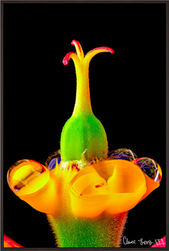 Main image Bubble Fountain