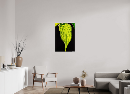 24 x 36″, Glossy Canvas Eternal Glow