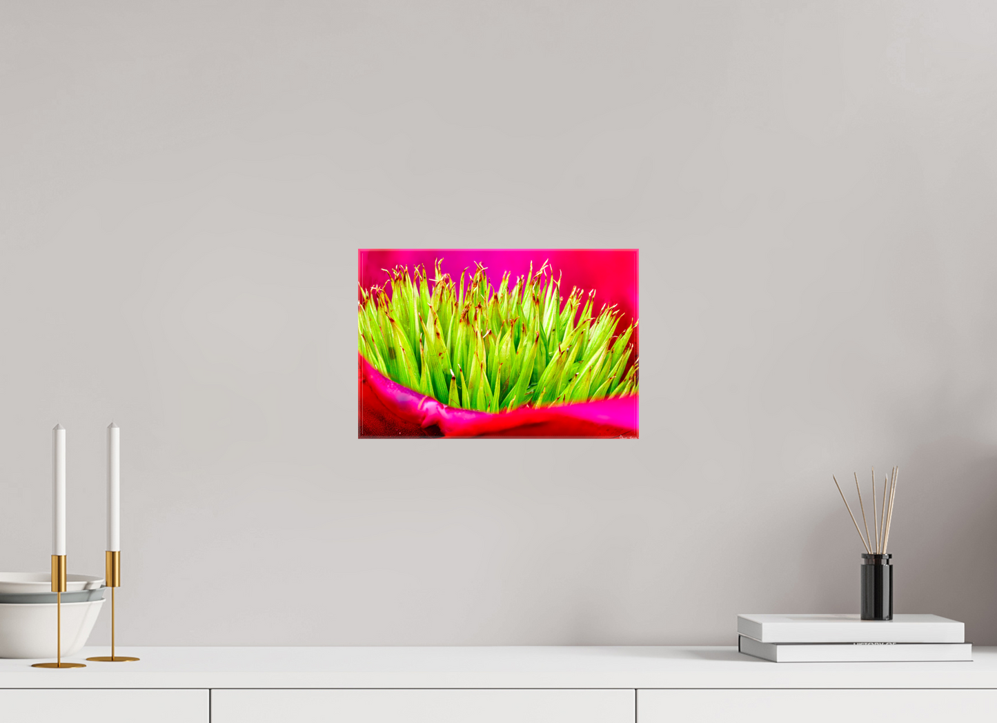 12 x 8″, Glossy Canvas Spiked