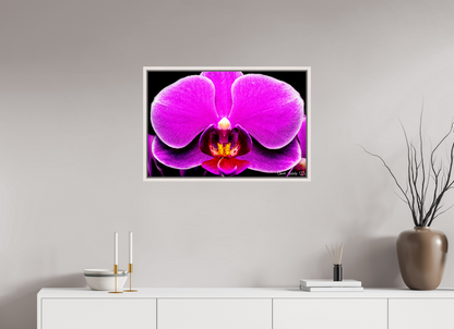 30 x 20″, Floater Frame Maple White Magnificence