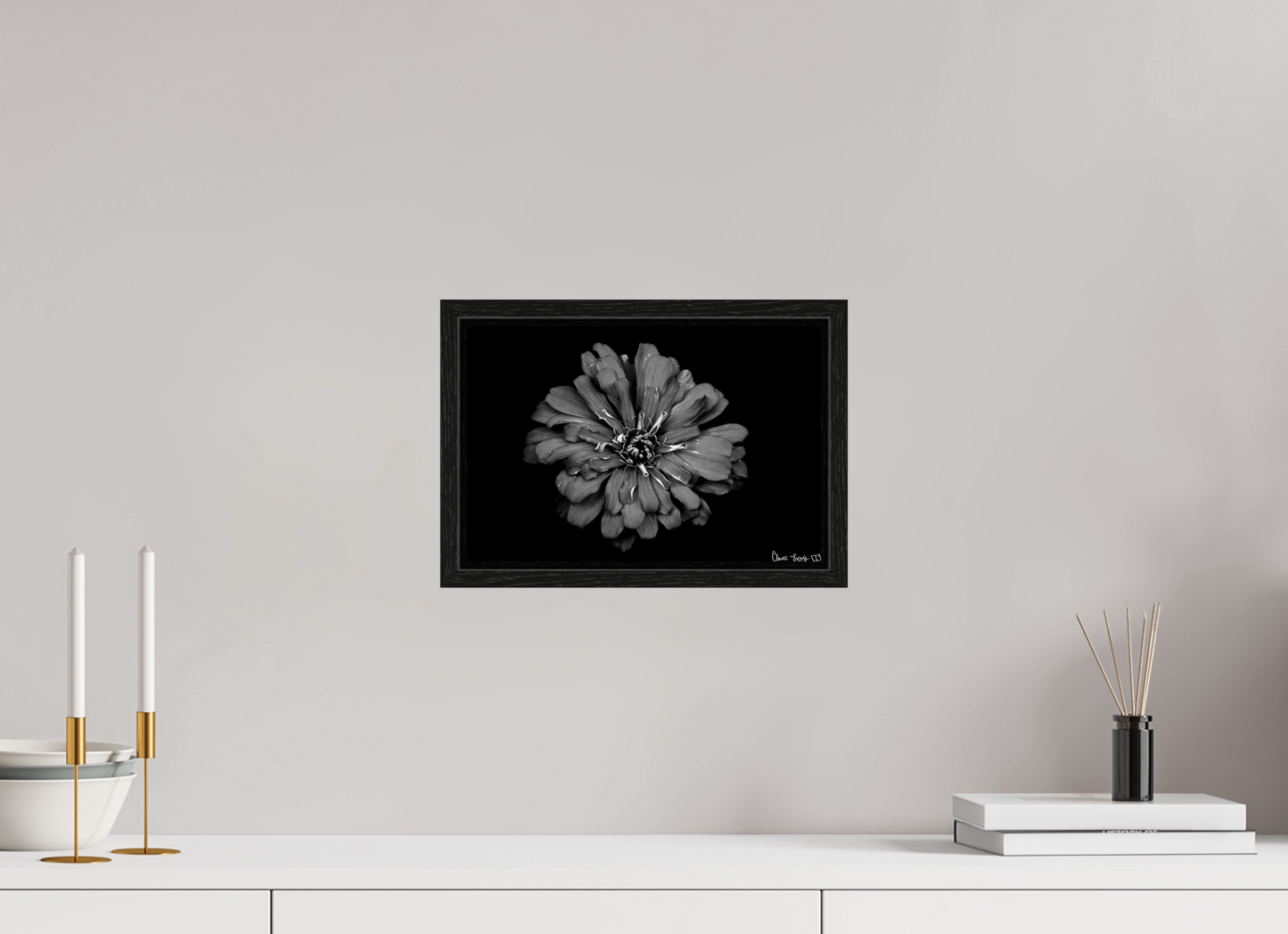 12 x 8″, Floater Frame Black Oak Carbon Zinnia