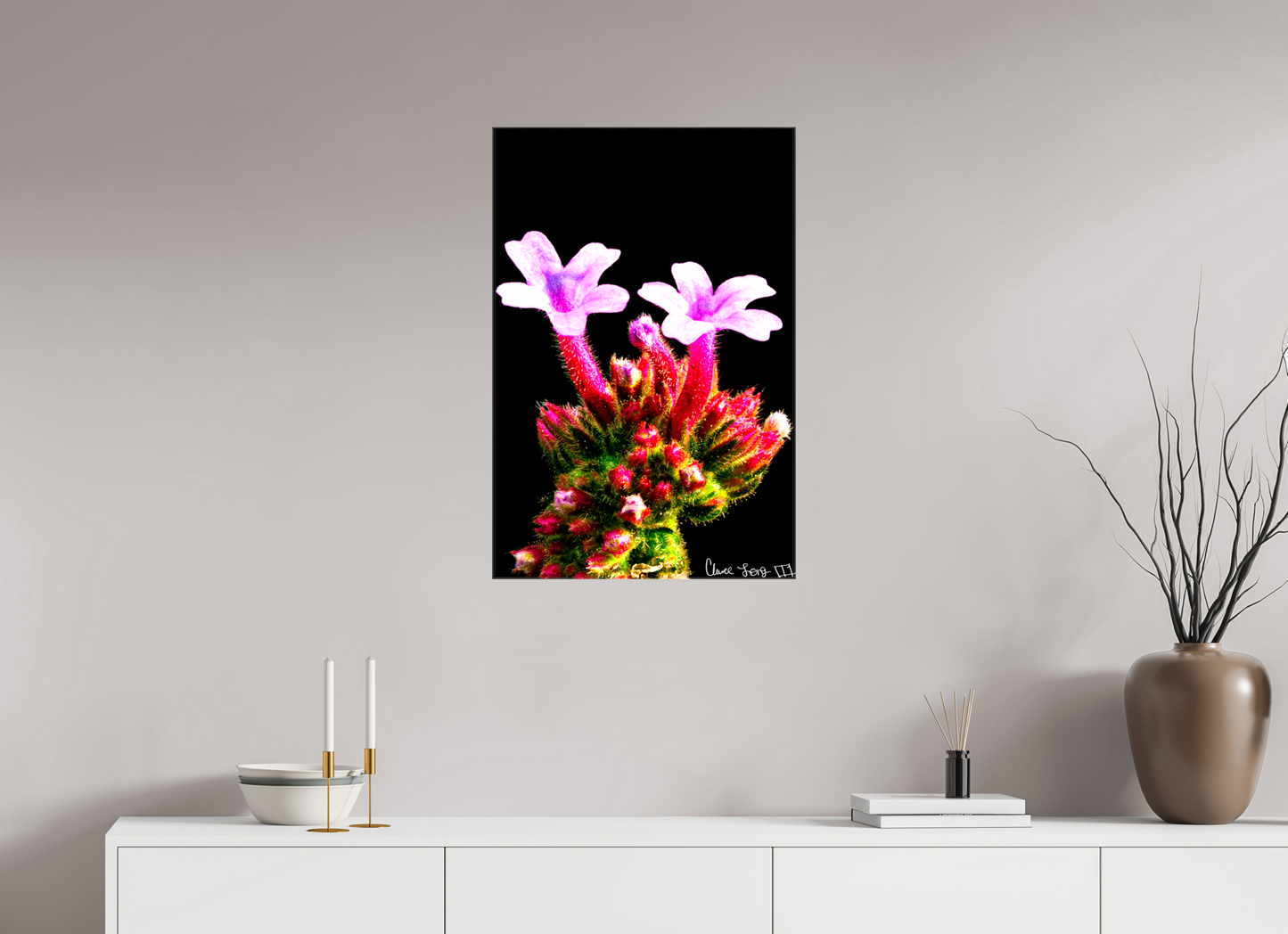 20 x 30″, Glossy Canvas Vebena Bonariensis Pair
