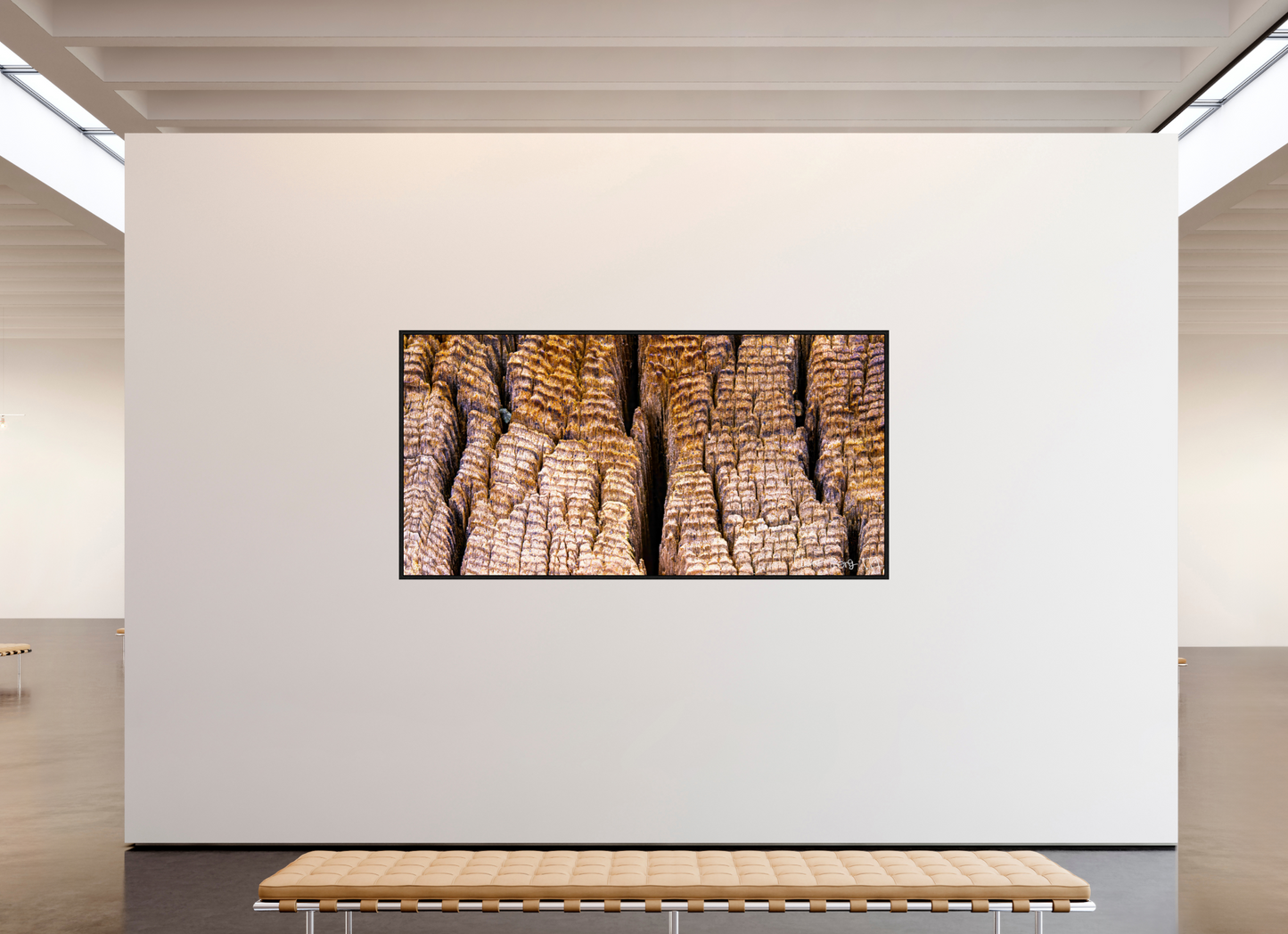 94 x 47″, Floater Frame Black Oak Fissure