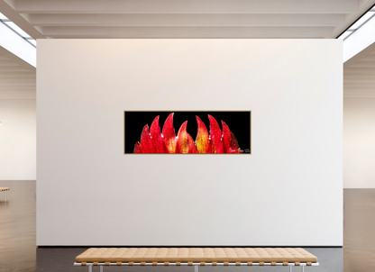 84 x 28″, Floater Frame Natural Oak Flaming Sword