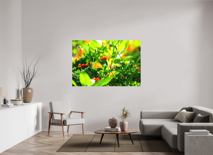66 x 44″, Matte Canvas Prominence