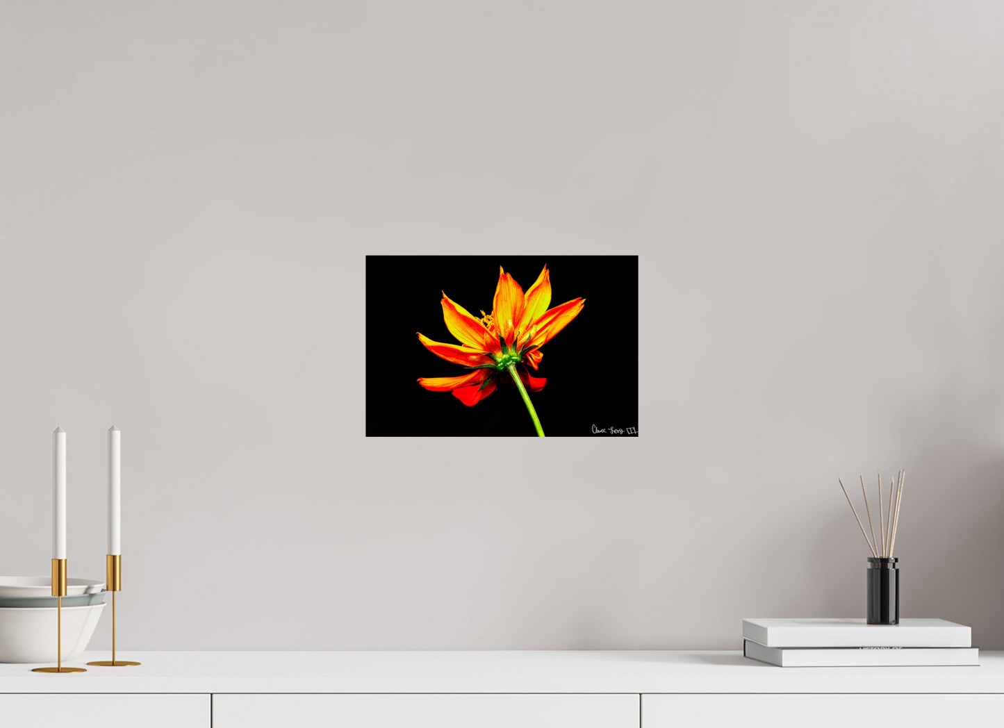 12 x 8″, Glossy Metal Soaring Phoenix